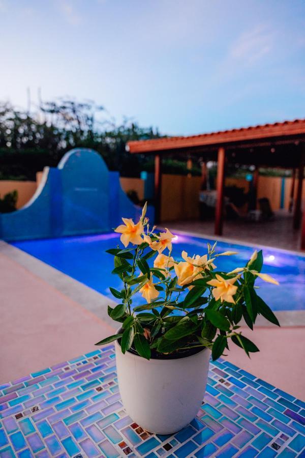 Villa Encantada Aruba 努尔德 外观 照片